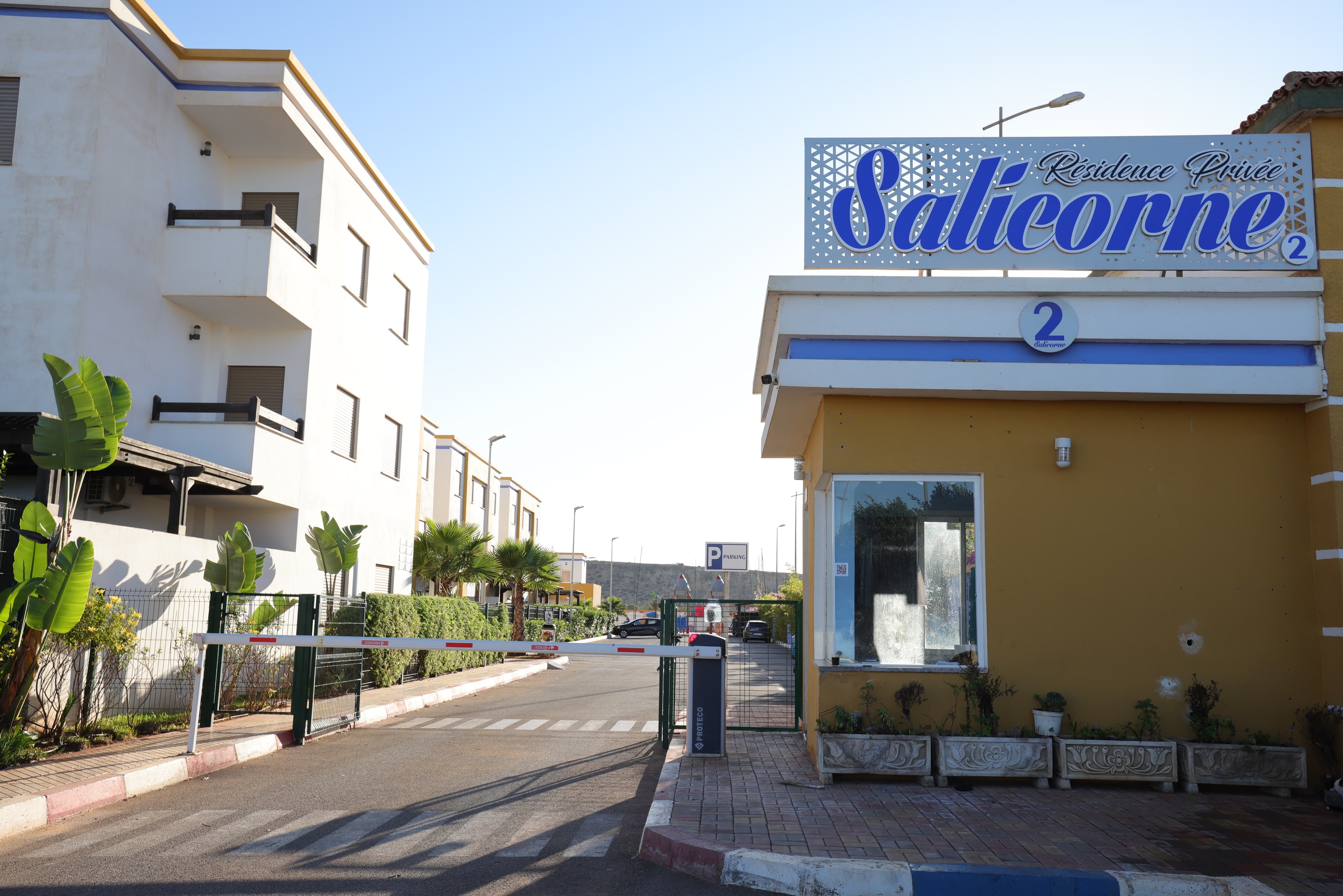 Salicorne 2 — photo 4