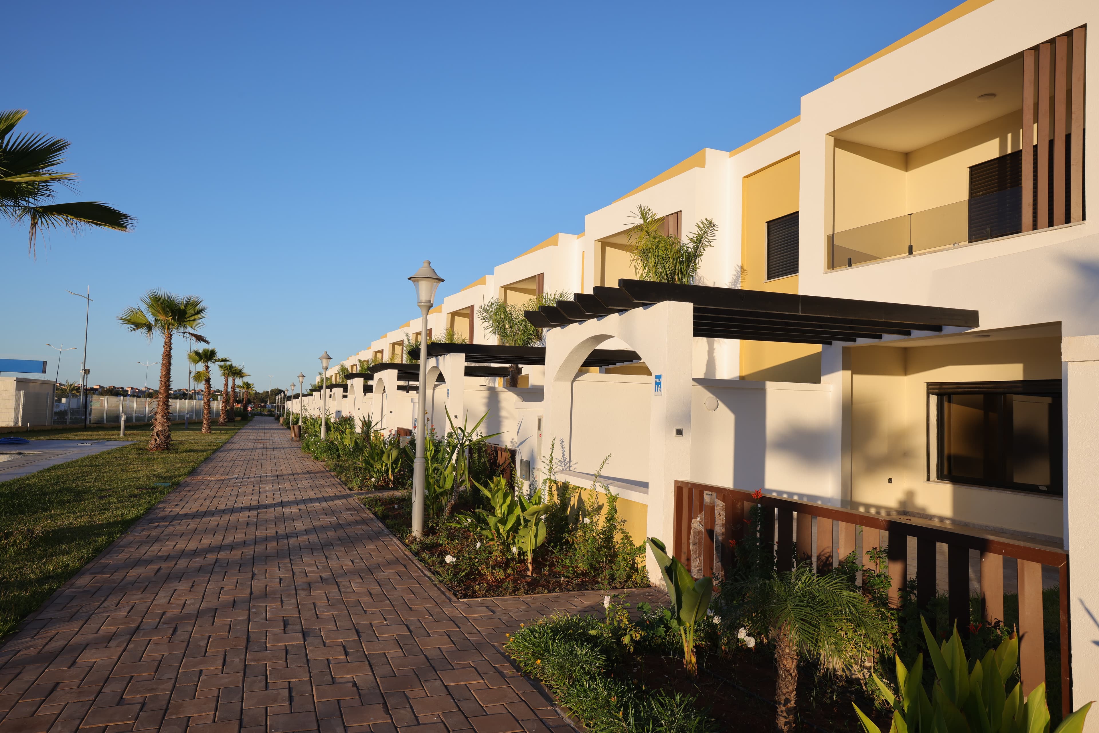 Salicorne 3 — photo 4